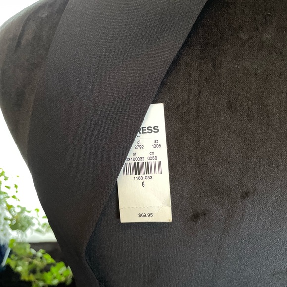 Express Dress - Picture 3 of 4